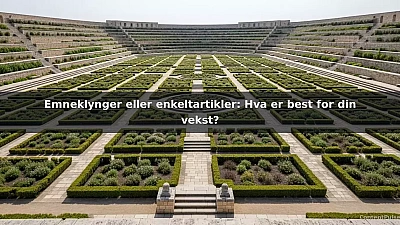 Emneklynger eller enkeltartikler: Hva er best for din vekst?